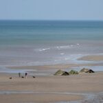 Urgent Search Underway for Missing 13-Year-Old Boy Off East Yorkshire Coast Urgent Search Underway for Missing 13-Year-Old Boy Off East Yorkshire Coast