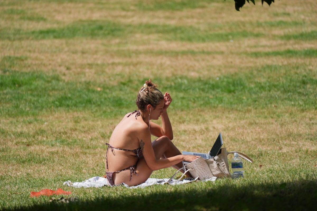 UK Public Prefers Colder Weather Amidst Fourth Summer Heatwave UK Public Prefers Colder Weather Amidst Fourth Summer Heatwave