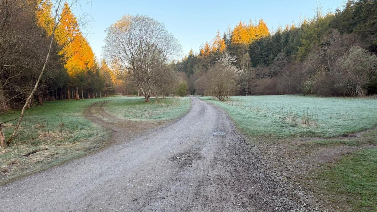 Environment Agency Opposes Hamsterley Forest Campsite Over Flooding Risks