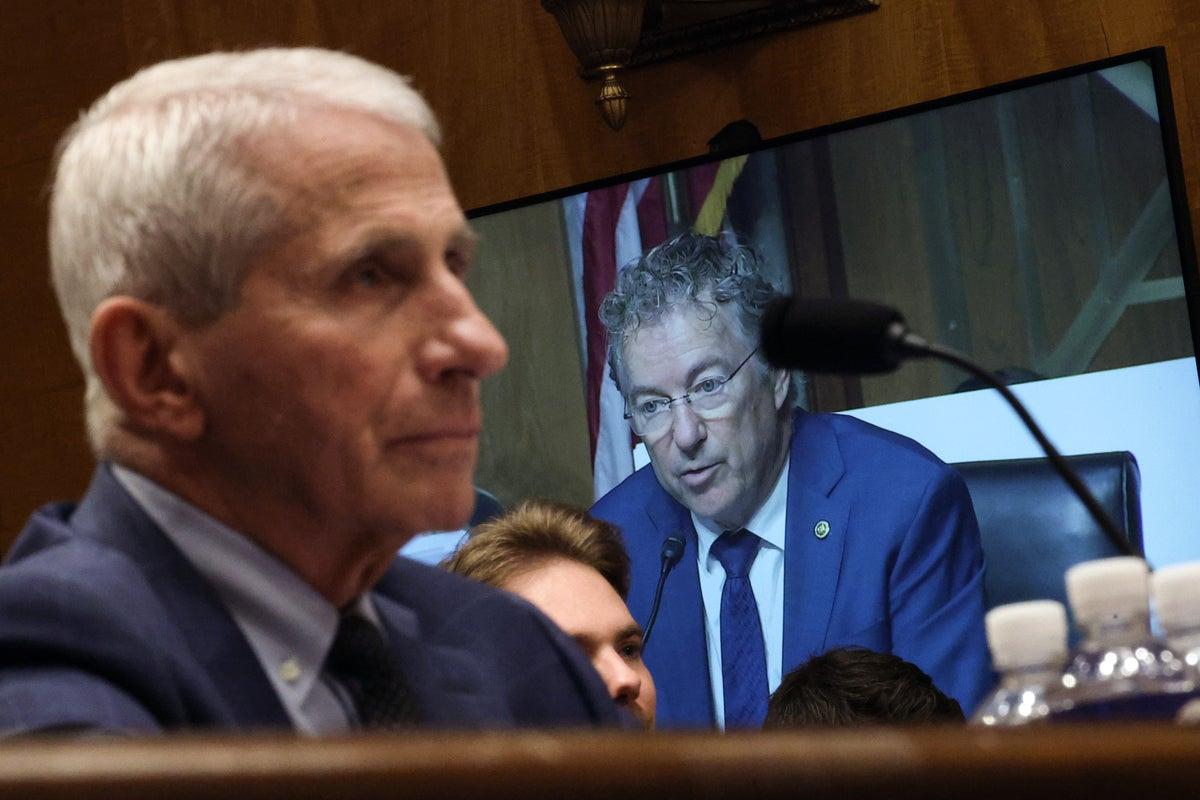 Book Sales Surge as Fauci Scrutiny Boosts Kennedy Jr. and Rand Paul