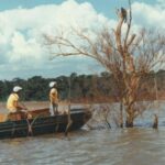Urgent Wildlife Rescue Amid Itaipu Dam Construction in 1982