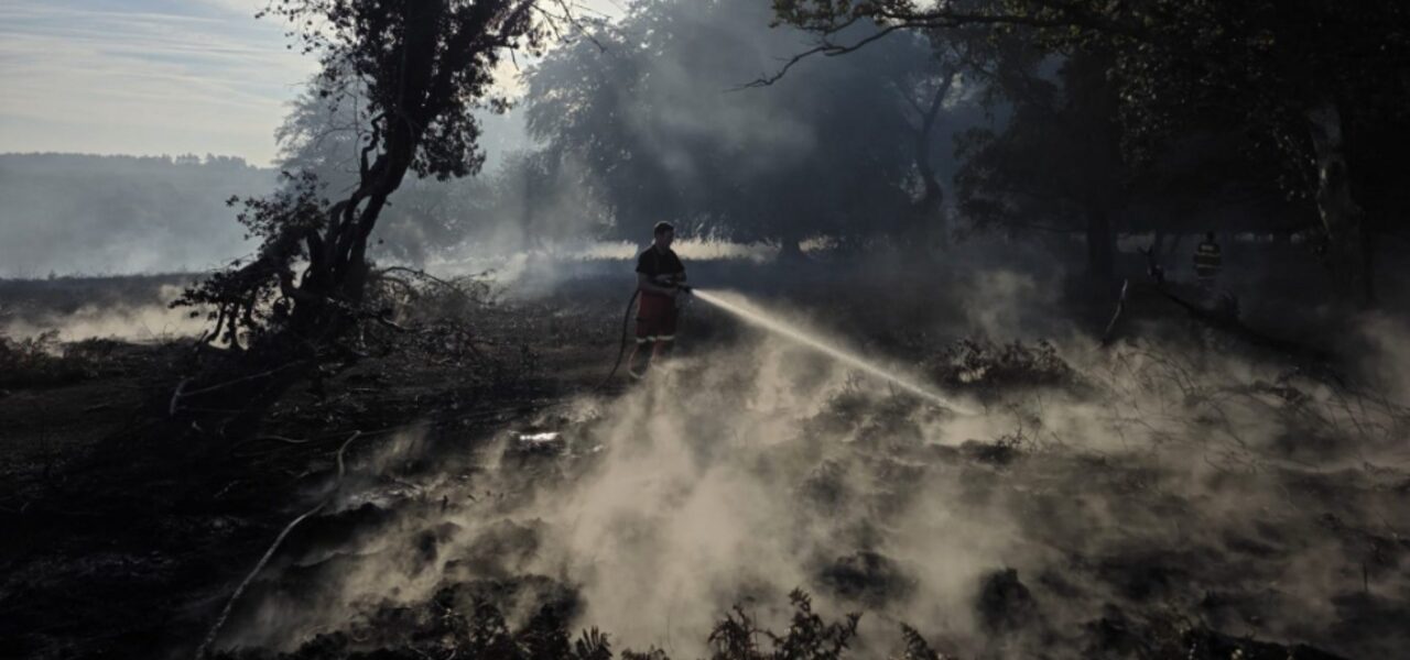 New Forest Wildfire Fully Contained, Fire Service Confirms