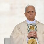 Pope Leo to Meet with Clergy Abuse Survivors in France Visit Pope Leo to Meet with Clergy Abuse Survivors in France Visit