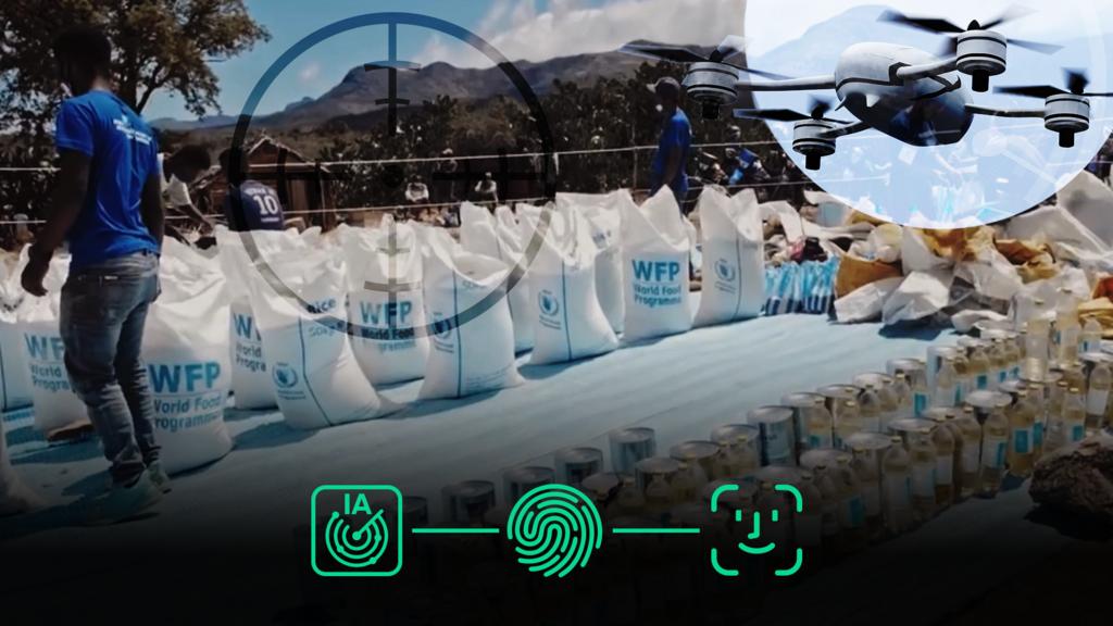 WFP Set to Renew Palantir Contract Amid Internal Privacy Concerns