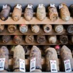 Wildfires Uncover WWII Bombs Across Europe, Posing New Threat