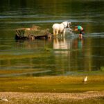 Central Europe Records Scorching Heat as Slovakia and Austria Hit All-Time Highs Central Europe Records Scorching Heat as Slovakia and Austria Hit All-Time Highs