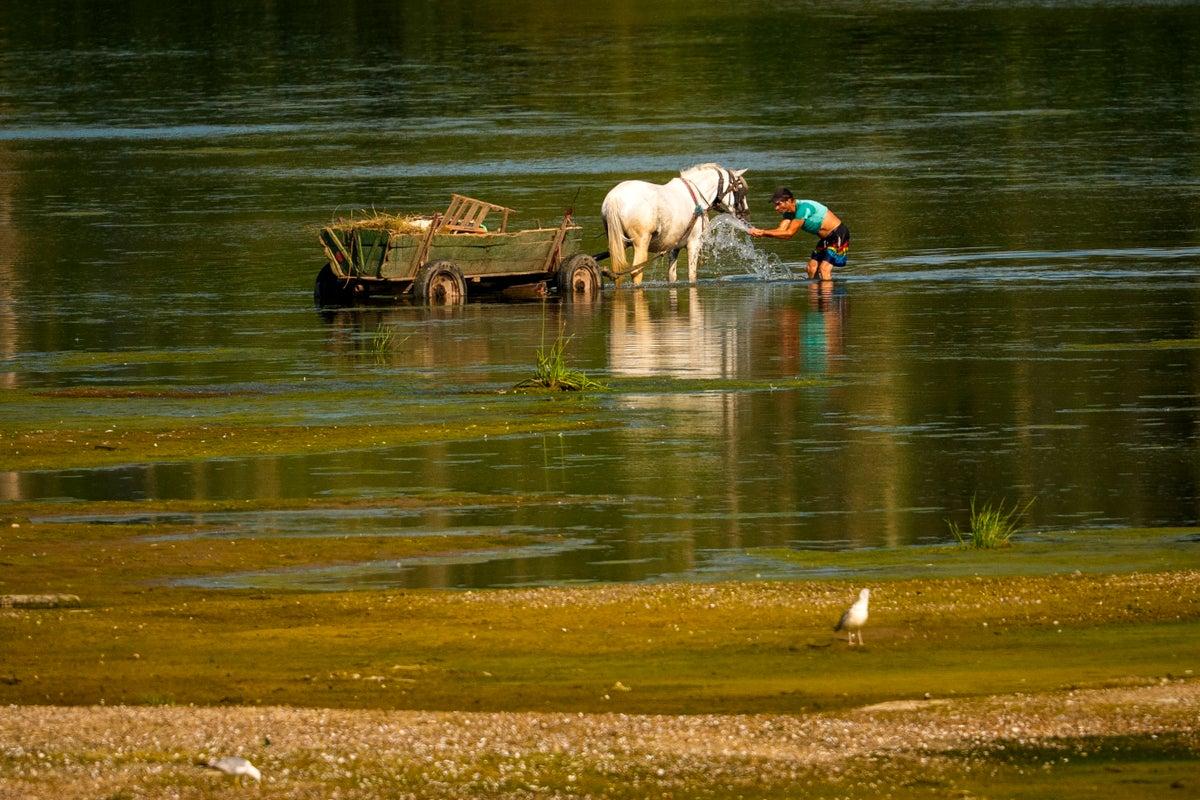 Central Europe Records Scorching Heat as Slovakia and Austria Hit All-Time Highs Central Europe Records Scorching Heat as Slovakia and Austria Hit All-Time Highs