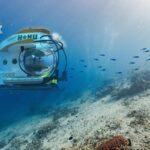 Renowned Oceanographer Sylvia Earle Issues Urgent Warning on Ocean Health