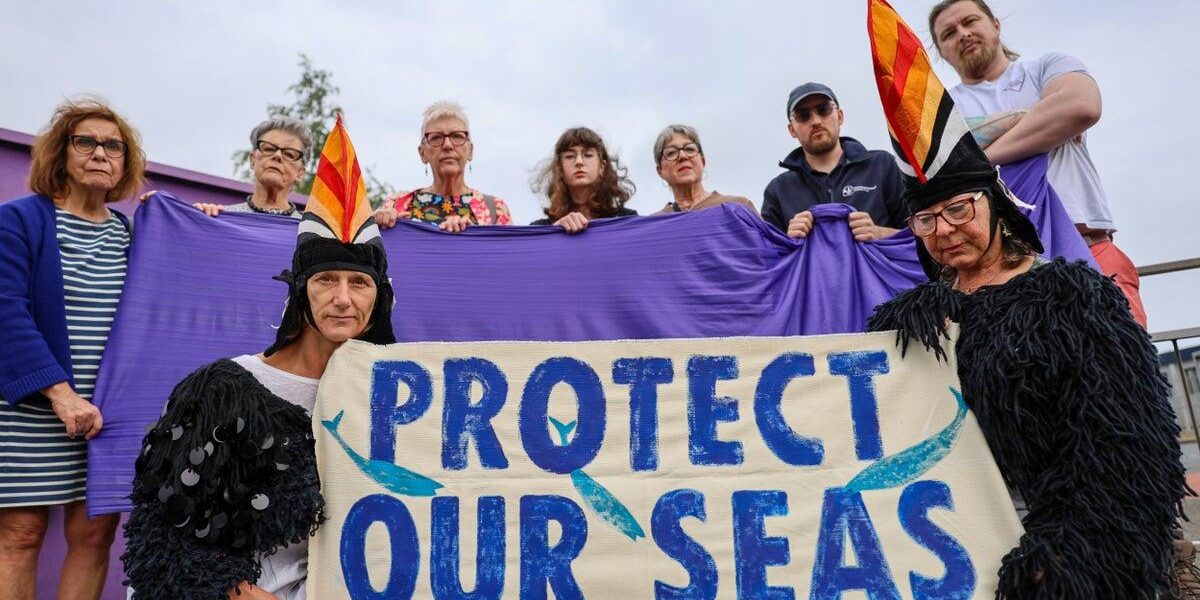 Volunteers Frustrated Over Exclusion from Plastic Nurdle Spill Cleanup