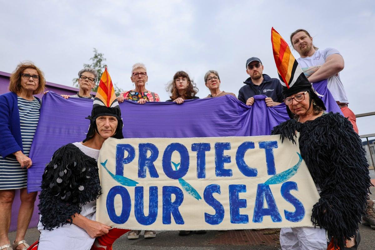 Volunteers Frustrated Over Exclusion from Plastic Nurdle Spill Cleanup