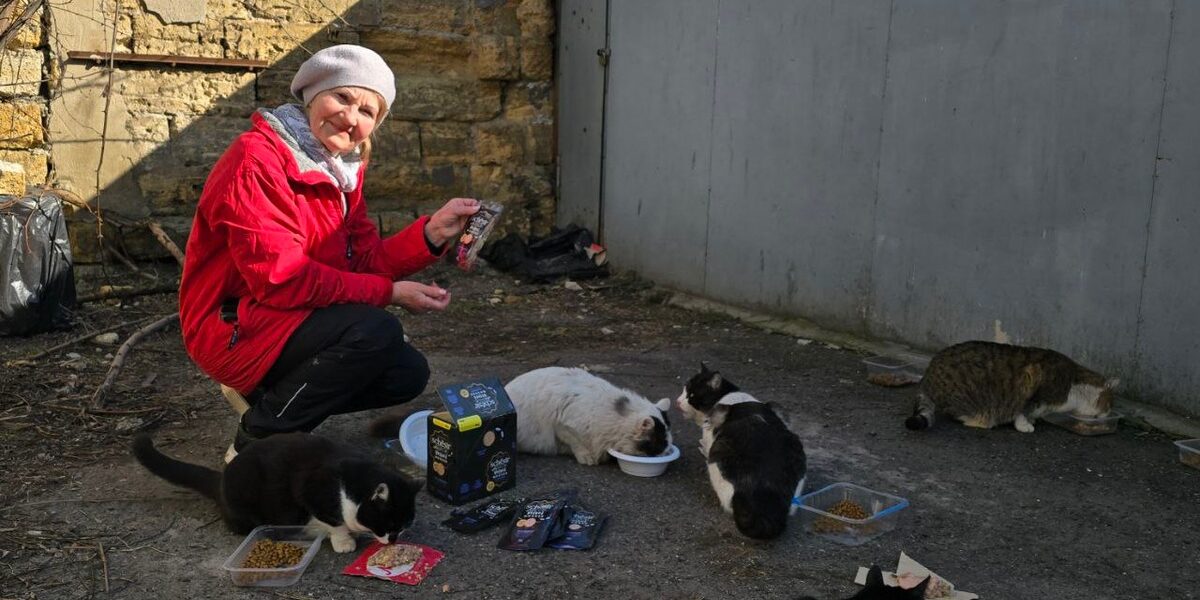 Elderly Odesa Women Brave Shelling to Care for Stray Animals