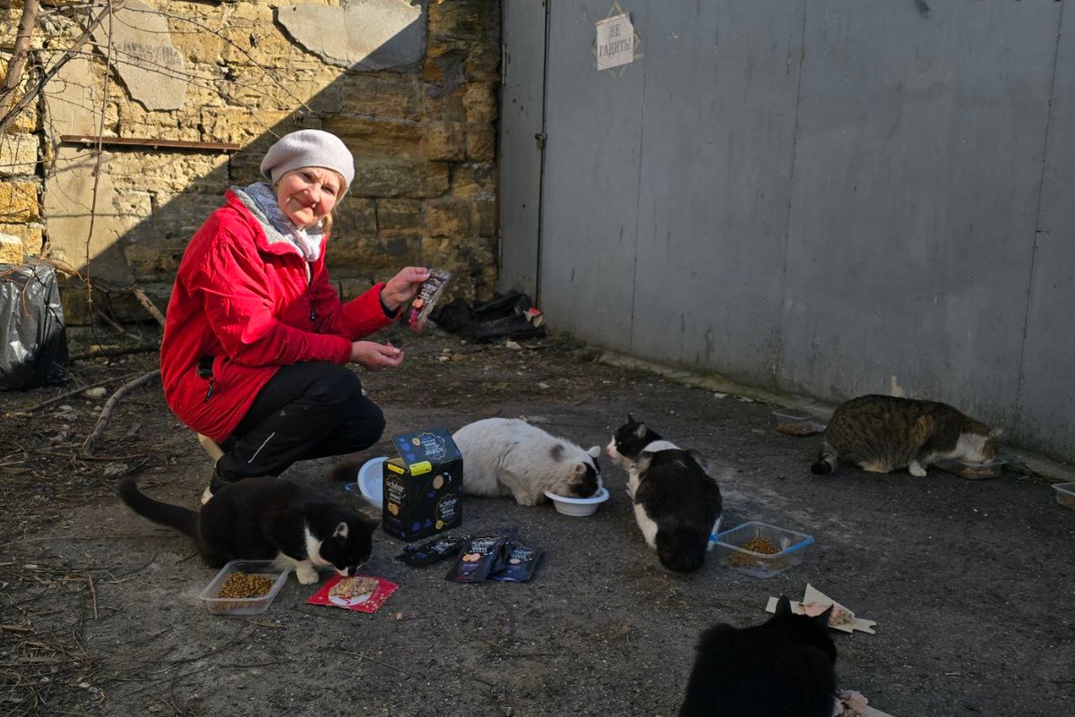 Elderly Odesa Women Brave Shelling to Care for Stray Animals