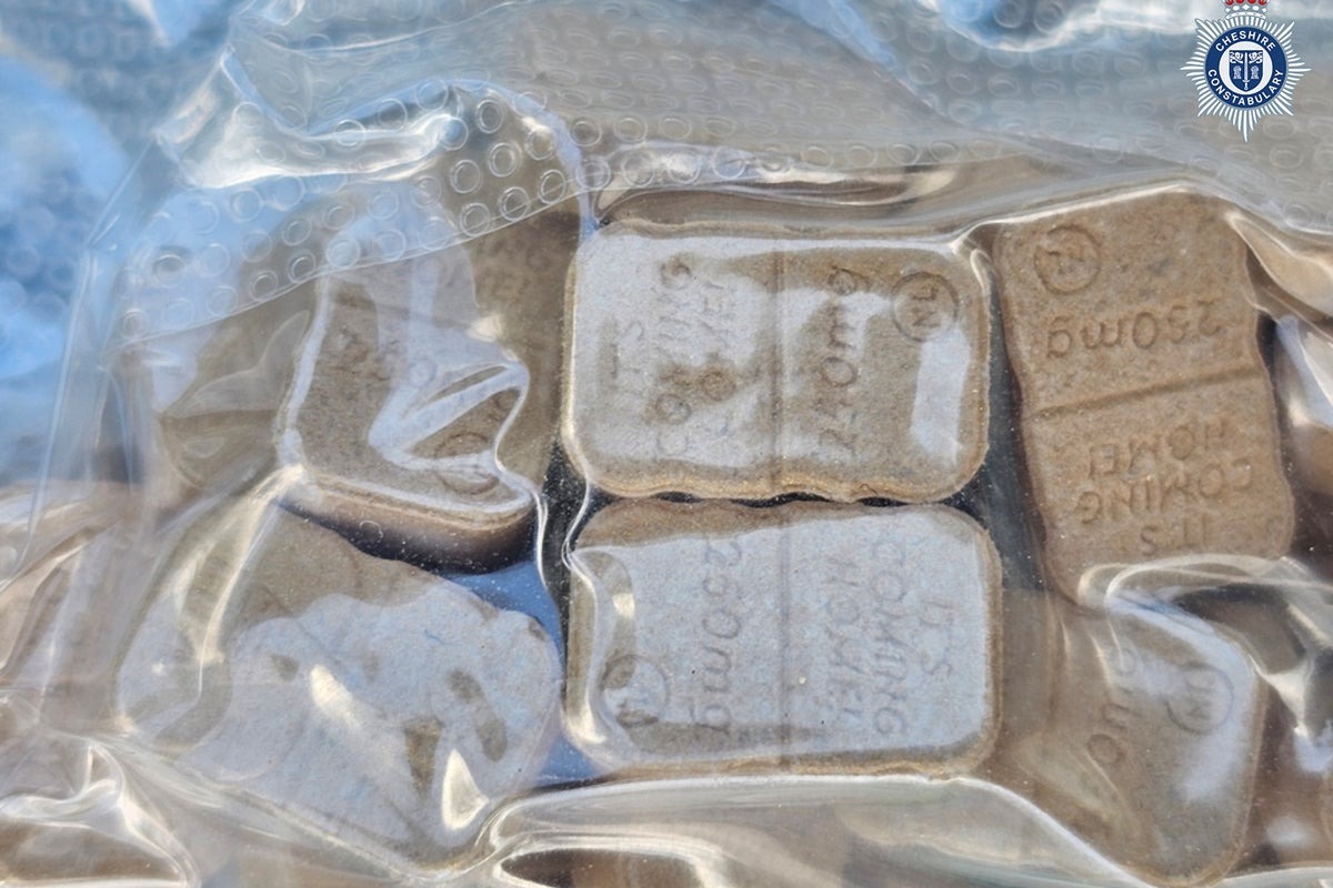 Police Discover Ecstasy and Ketamine Buried at Creamfields Festival Site