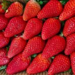 India Aims to Become a Major Strawberry Exporter