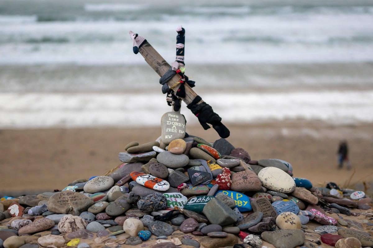 Harry Potter Fans Divert £430m Pipeline to Preserve Dobby’s ‘Grave’