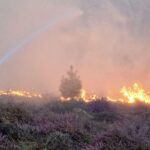 Suffolk Wildfire: Emergency Declared as Firefighters Battle Major Blaze