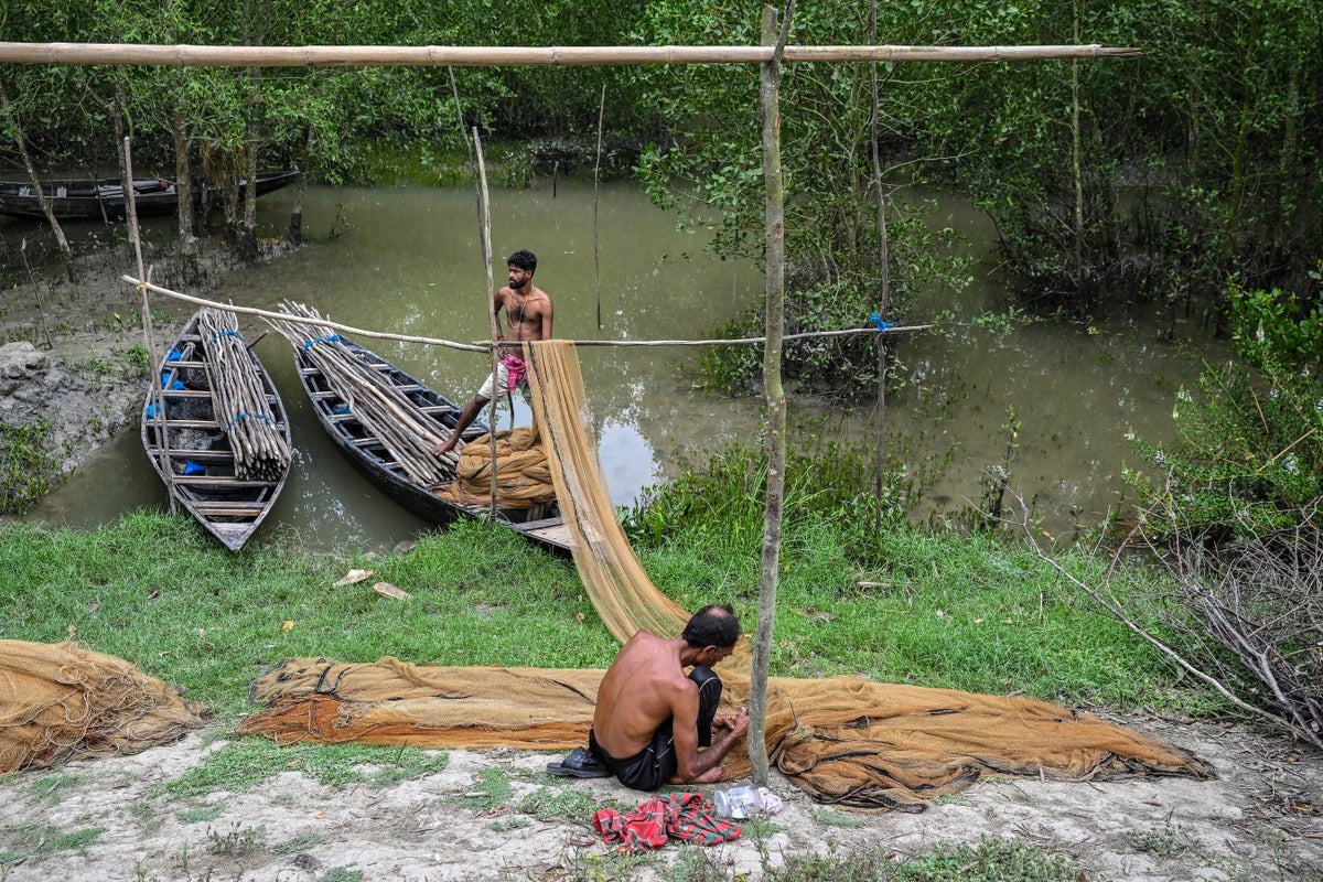 UK Climate Aid Project in Bangladesh Ends Early Amid Funding Cuts UK Climate Aid Project in Bangladesh Ends Early Amid Funding Cuts