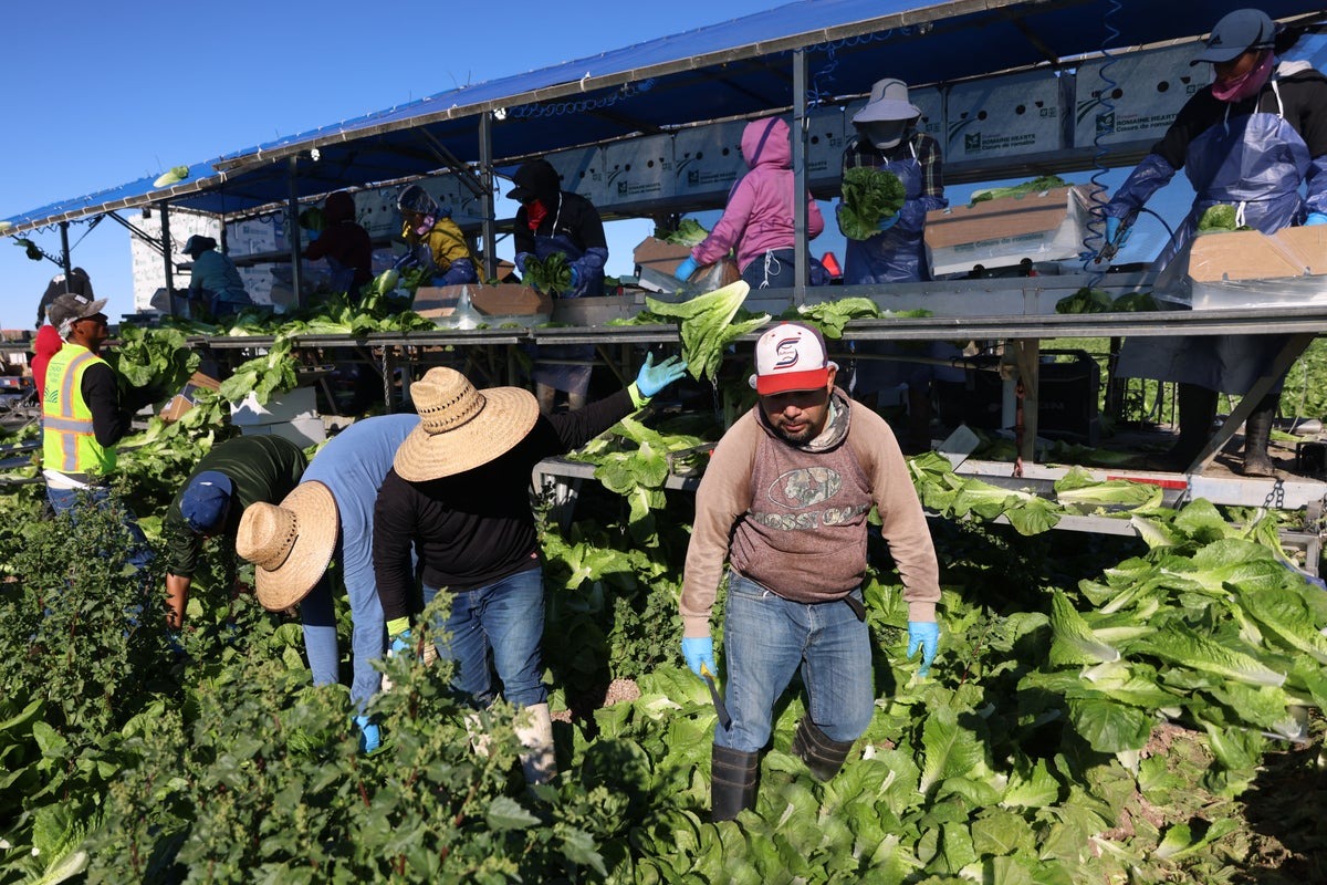 Cyclosporiasis Outbreaks Surge: Trump Administration Claims Food Safety Despite Unknown Causes Cyclosporiasis Outbreaks Surge: Trump Administration Claims Food Safety Despite Unknown Causes