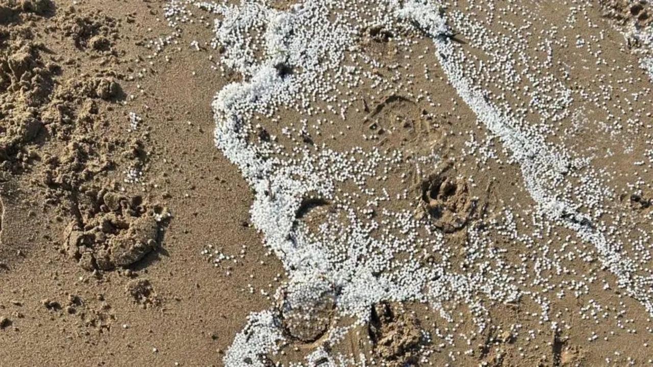 Volunteers Demand National Disaster Declaration Amid Plastic Spill Crisis Volunteers Demand National Disaster Declaration Amid Plastic Spill Crisis