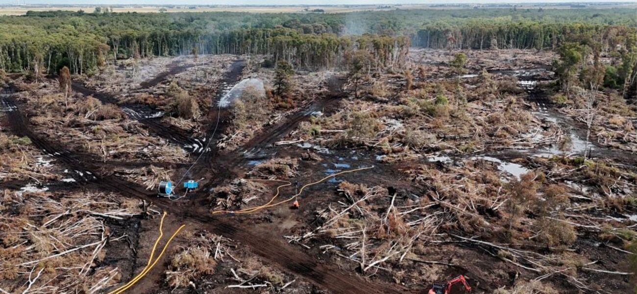 Firefighters Endure 11-Day Battle Against Challenging Holme Fen Blaze