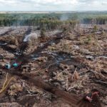Firefighters Endure 11-Day Battle Against Challenging Holme Fen Blaze