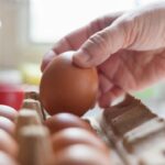 UK Faces Salmonella Outbreak Linked to Imported Eggs UK Faces Salmonella Outbreak Linked to Imported Eggs