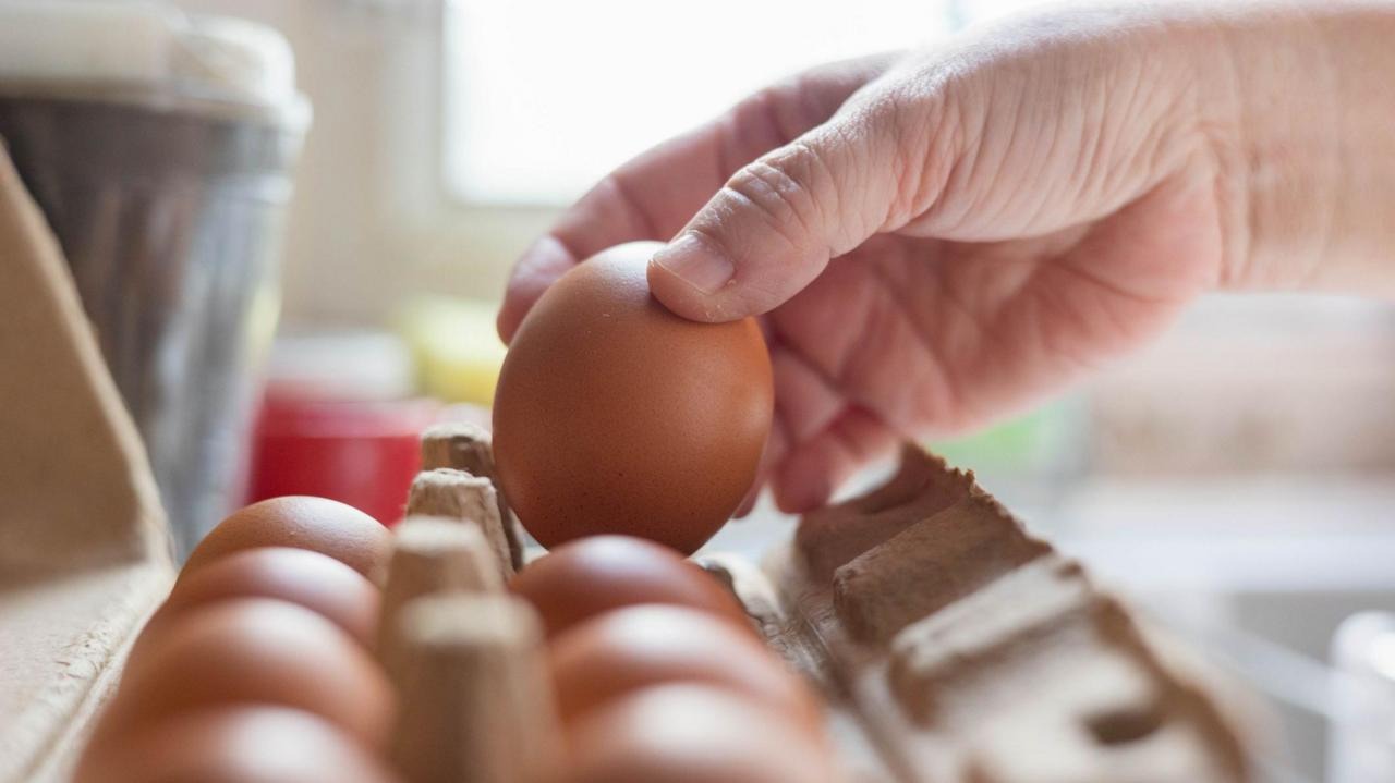 UK Faces Salmonella Outbreak Linked to Imported Eggs