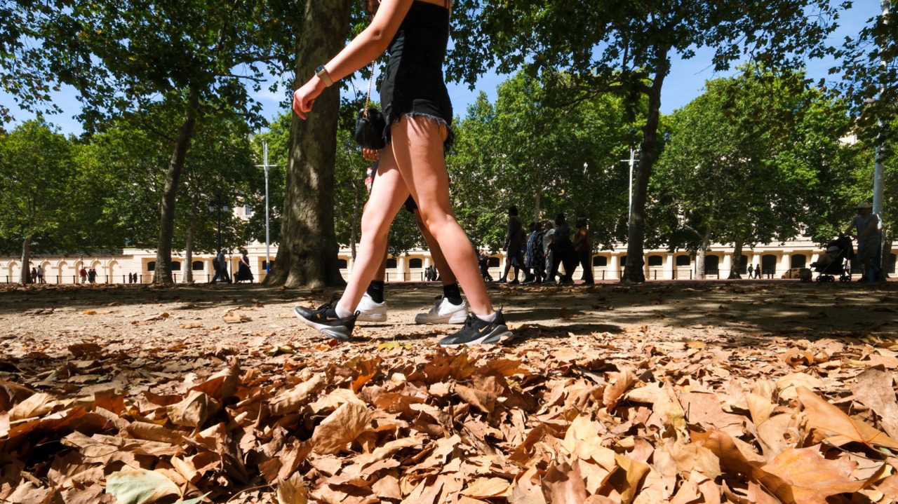 UK Braces for Potential September Heatwave as Forecasts Predict Hot, Dry Autumn