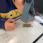 Nine Scholars Attend University of Michigan Seminar on Papyrus Manuscript Conservation