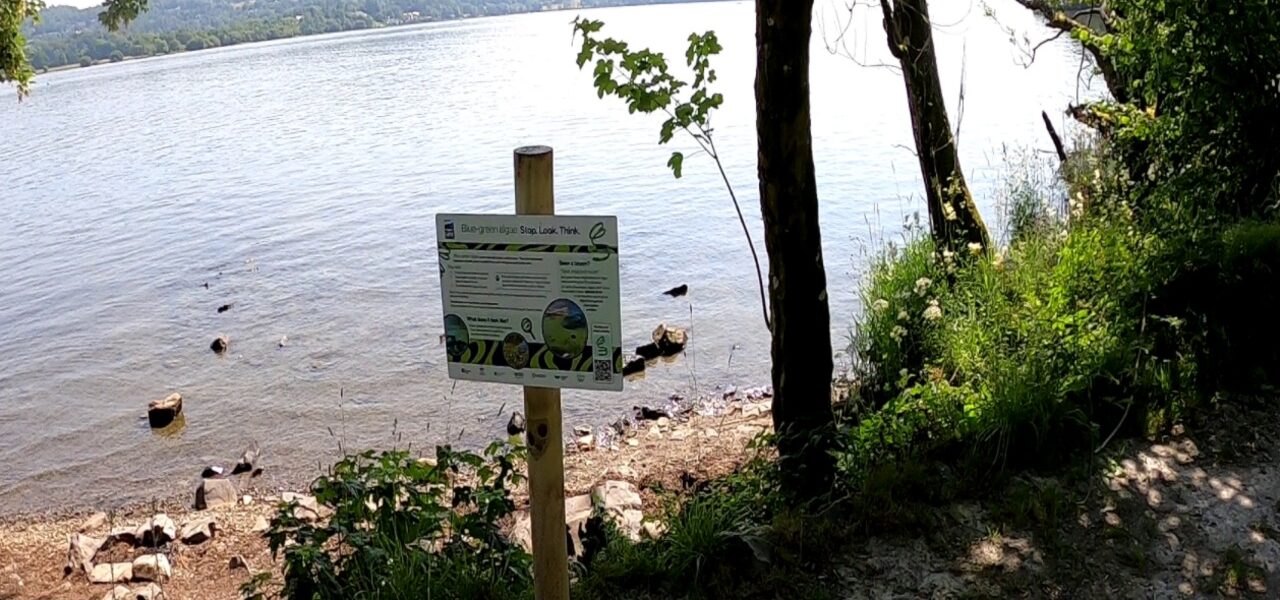 Windermere and Cumbrian Lakes Issue Algae Poisoning Warnings