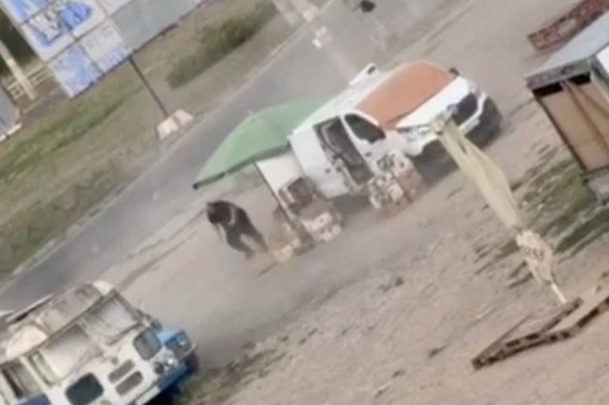 Putin Accused of War Crime After Drone Targets Market Vendor in Ukraine Putin Accused of War Crime After Drone Targets Market Vendor in Ukraine