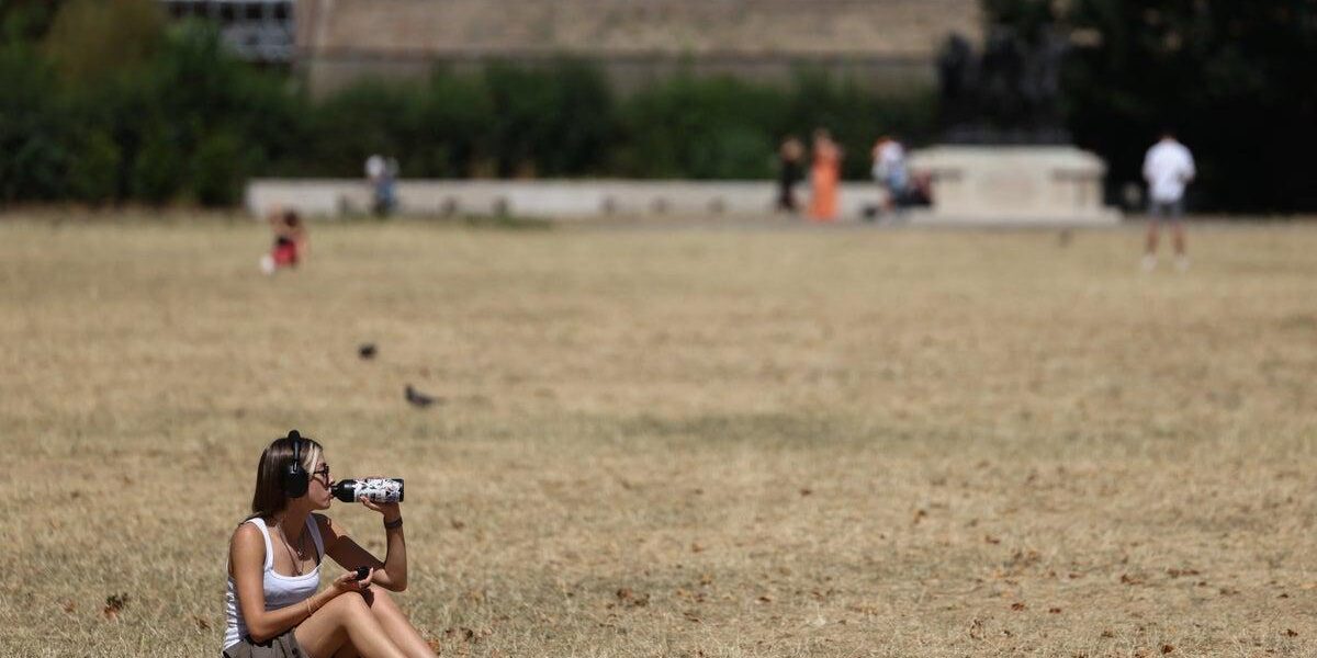 Health Watchdog Warns: Common Painkillers Increase Sunburn Risk