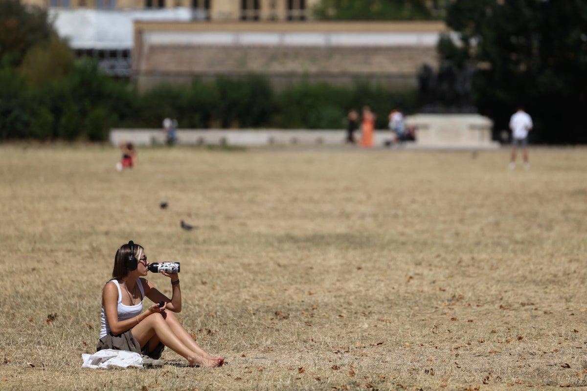 Health Watchdog Warns: Common Painkillers Increase Sunburn Risk