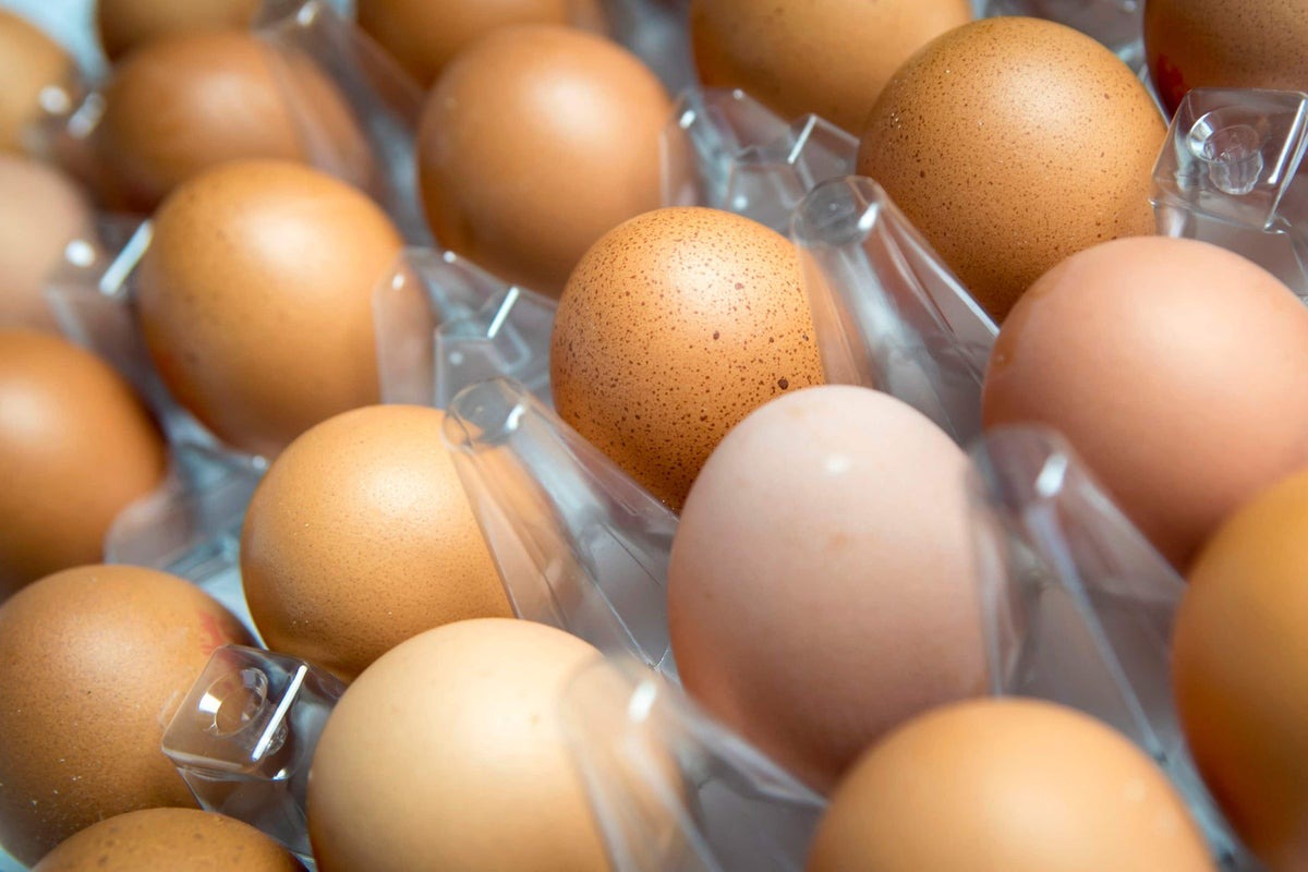 UK Salmonella Outbreak: Regions Hit Hardest by Rising Cases UK Salmonella Outbreak: Regions Hit Hardest by Rising Cases
