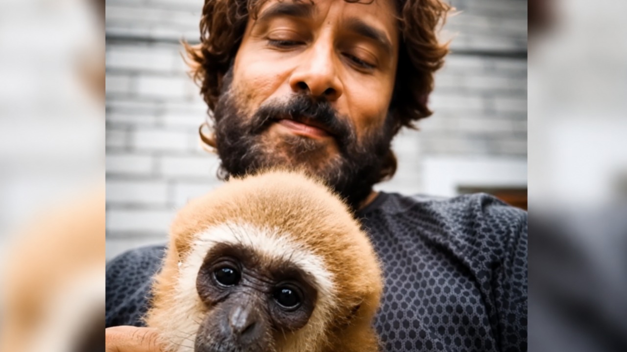 Investigation Launched After Tamil Star Vikram’s Video with Endangered Gibbon