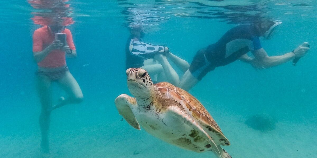 Record-Breaking Ocean Temperatures Signal Dire Climate Impact