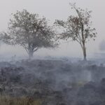 Hundreds Evacuated as Belgium Confronts Historic Wildfire Hundreds Evacuated as Belgium Confronts Historic Wildfire
