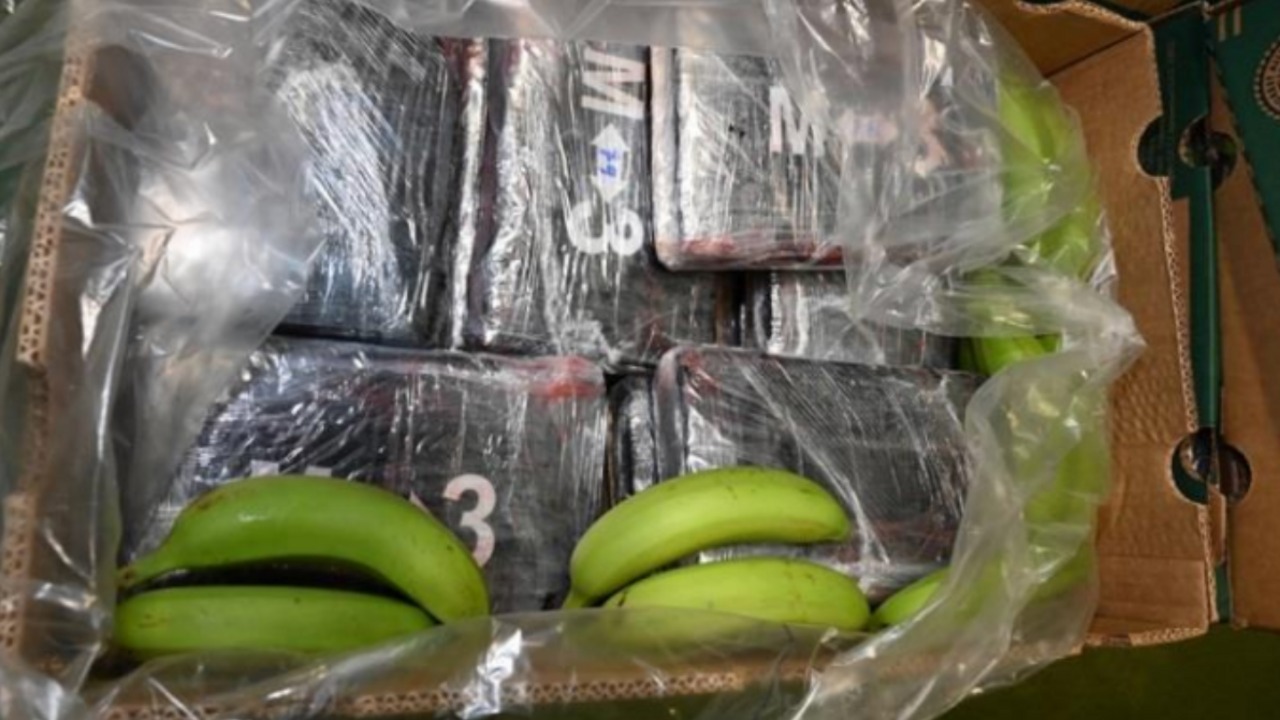 £232 Million Cocaine Haul Seized in Banana Shipment; Nine Arrested