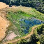 Scientific Battle Against Extinctions Intensifies Amid Record Heatwaves
