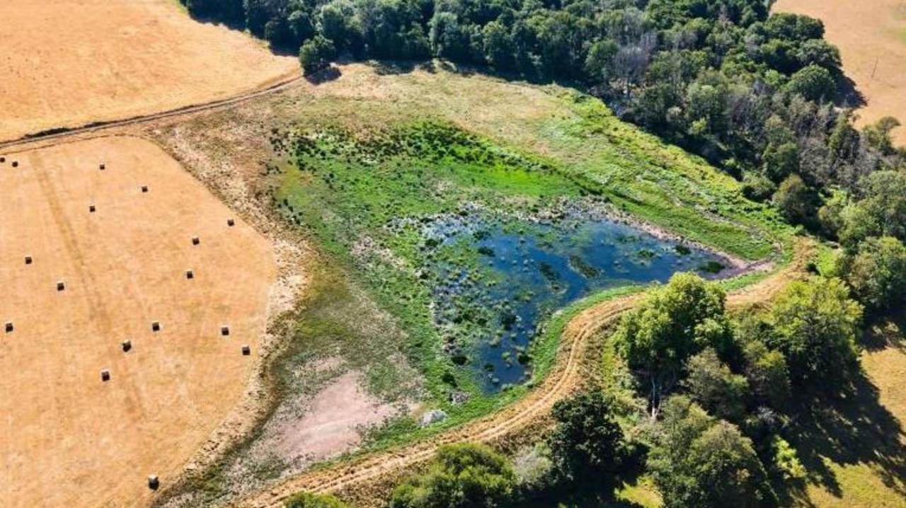Scientific Battle Against Extinctions Intensifies Amid Record Heatwaves Scientific Battle Against Extinctions Intensifies Amid Record Heatwaves