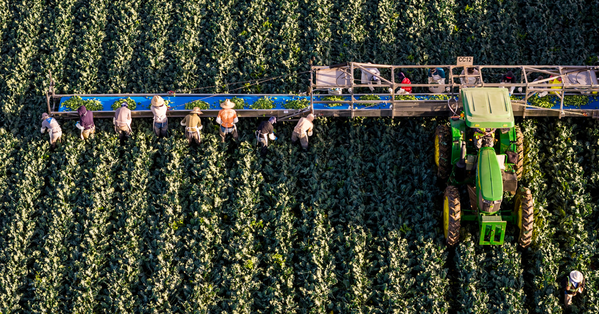 Arizona Faces Water Cuts: Will Your Winter Salad Be Affected?