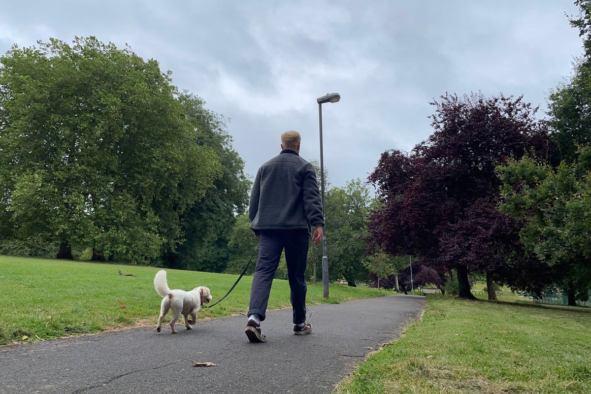 Discover the Immediate Benefits of Walking After Meals Discover the Immediate Benefits of Walking After Meals