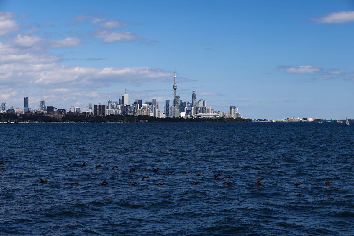 Google Maps Renames Lake Ontario to Lake America for US Users