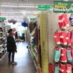 Dollar Tree Expands with 75 New Stores Amid Rising Consumer Financial Stress Dollar Tree Expands with 75 New Stores Amid Rising Consumer Financial Stress