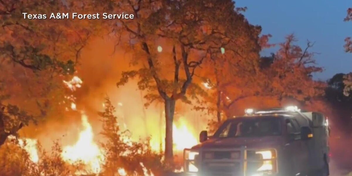 Ross Fire Continues to Ravage North Texas: 85,000 Acres Burned, Over 150 Structures Lost Ross Fire Continues to Ravage North Texas: 85,000 Acres Burned, Over 150 Structures Lost