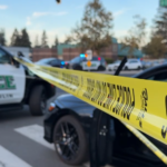 Dublin Police Arrest Elderly Couple Following Fatal Shooting of New York Times Executive Dublin Police Arrest Elderly Couple Following Fatal Shooting of New York Times Executive