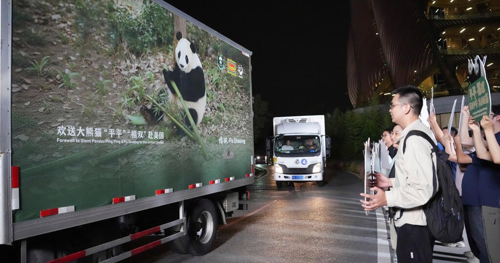 Giant Pandas Ping Ping and Fu Shuang Arrive at Zoo Atlanta Giant Pandas Ping Ping and Fu Shuang Arrive at Zoo Atlanta