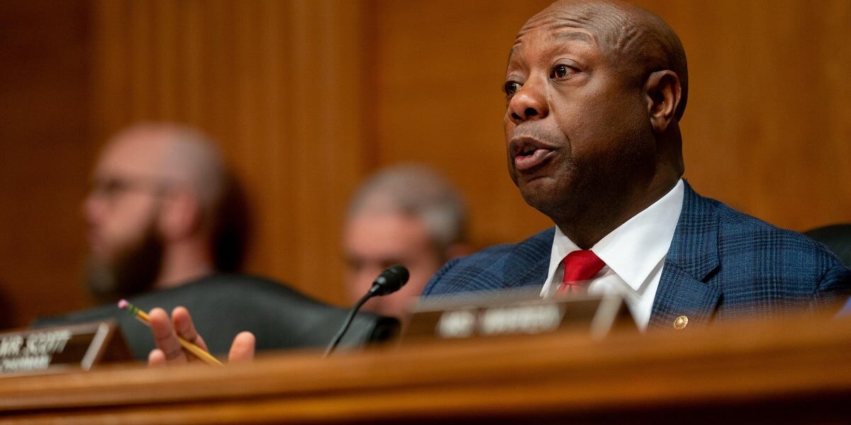 GOP Senator Warns of Midterm ‘Fight for Our Lives’ While Mapping Path to Senate Control GOP Senator Warns of Midterm ‘Fight for Our Lives’ While Mapping Path to Senate Control
