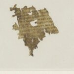 1,700-Year-Old ‘Odyssey’ Fragment Unearthed in Dutch Library Book
