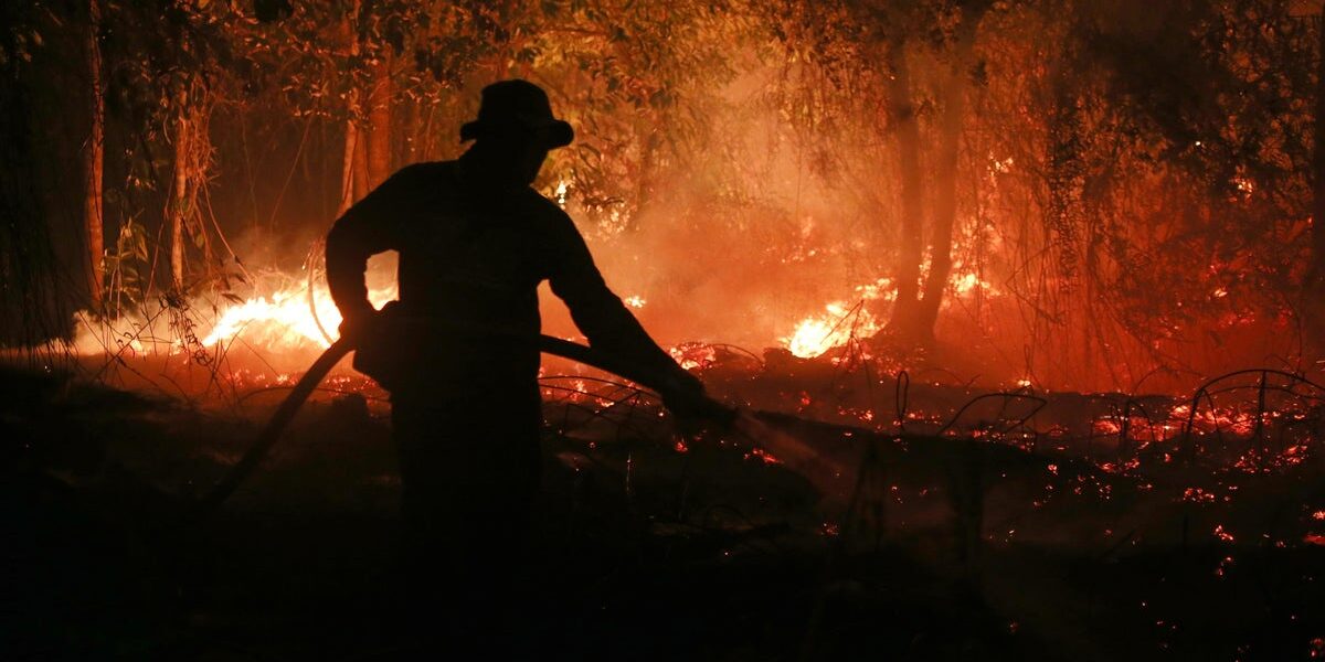 El Niño Could Lead to 451,000 Extra Heat-Related Deaths, Study Warns